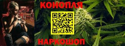 стафф Краснодар